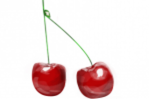 cherry