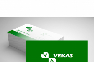 Логотип+визитка