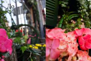 Фотография + ретушь