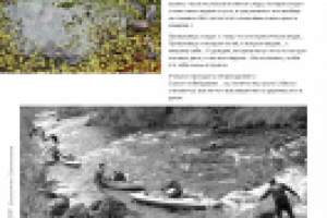 Работа 2306795