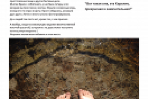 Работа 2306798