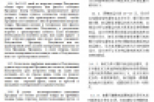 фрагмент перевода внешнеторгового контракта (с кит на рус)