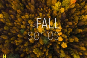 the FALL series
