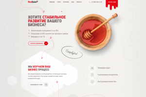 RedBee - сео компания