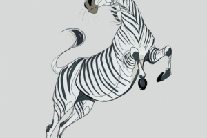 Zebra