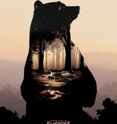 img3774167.png