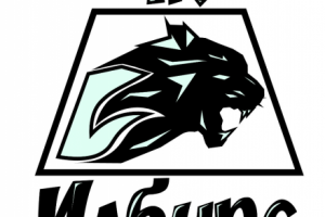 logo for T-short