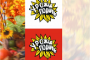 Работа 1505904