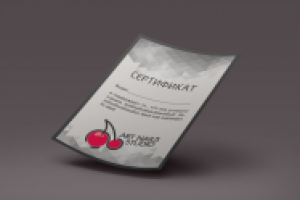 Работа 2507088