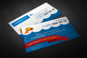 Визитка «Exfish»