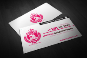 Визитка «ООО САЙЛАС»