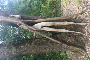 Заповеди оптимиста