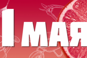 Работа 3146911