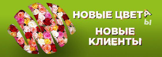 img3146754.png