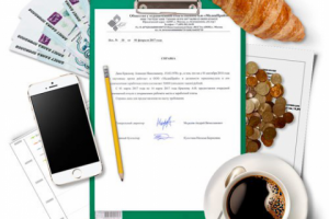 Работа 3178868