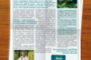 Работа 2631603