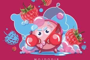 MOJDODIR (personazi)