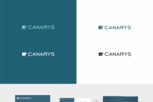 Дизайн проект для Canarys