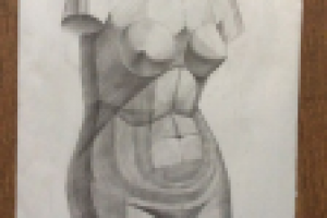 Торс Венеры