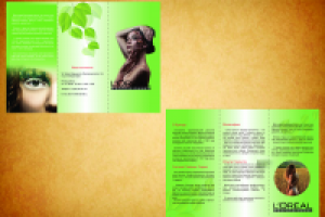 Буклет/лифлет