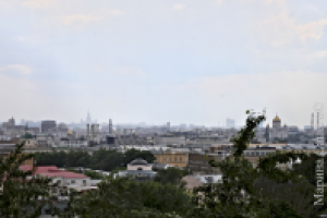 Работа 1624628