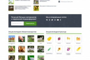 Дизайн сайта Агроинформио