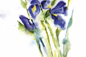 "Ирисы", иллюстрация для цветочного журнала