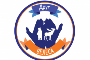 значок РКЦентр «ВЕЛЕС»