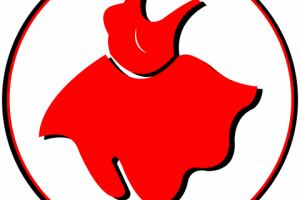 Работа 3434353