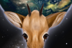 Дикдик держит планету