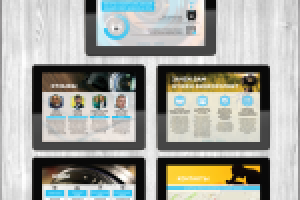 Работа 2703022