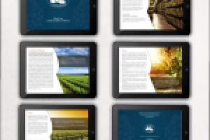 Работа 2703082