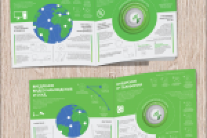 Работа 2703038