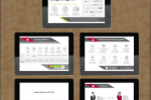 Работа 2302256