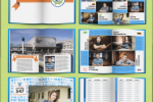 Работа 2271391