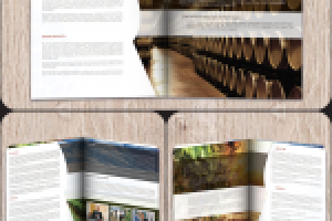 Работа 2699487