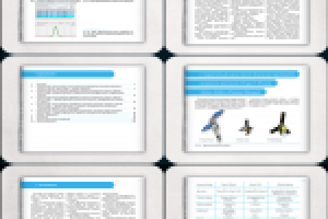 Работа 2699480