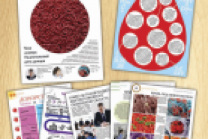 Работа 2126327