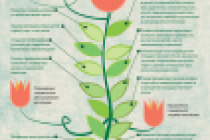 Работа 2126236