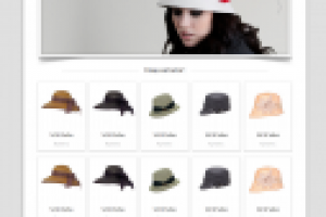 Перенос верстки на Wp и подключение функционала 2