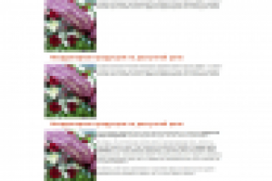 Муравая лента