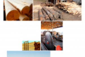 Галлерея с динамической подгрузкой фоток