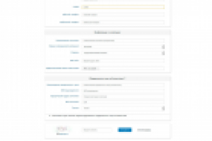 Информационная Система «Одно окно»