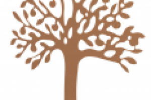 Работа 2469624