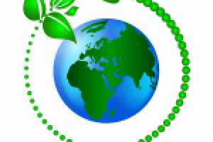 Работа 2025135