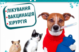 Работа 3848475