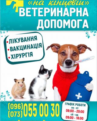 img3848475.png
