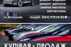 Работа 3848621