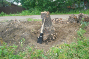 Корчевание пней