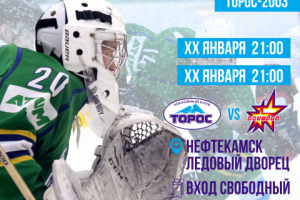 Работа 3850406